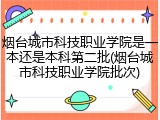 烟台城市科技职业学院是一本还是本科第二批(烟台城市科技职业学院批次)