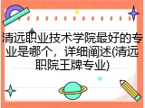 清远职业技术学院最好的专业是哪个，详细阐述(清远职院王牌专业)