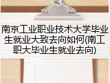 南京工业职业技术大学毕业生就业大致去向如何(南工职大毕业生就业去向)
