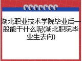 湖北职业技术学院毕业后一般能干什么呢(湖北职院毕业生去向)