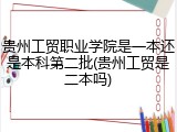 贵州工贸职业学院是一本还是本科第二批(贵州工贸是二本吗)