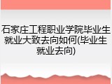石家庄工程职业学院毕业生就业大致去向如何(毕业生就业去向)
