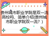 贵州城市职业学院是双一流高校吗，简单介绍(贵州城市职业学院双一流？)