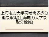 上海电力大学高考需多少分能录取呢(上海电力大学录取分数线)