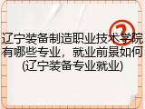 辽宁装备制造职业技术学院有哪些专业，就业前景如何(辽宁装备专业就业)