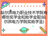 哈尔滨电力职业技术学院有哪些奖学金和助学金呢(哈尔滨电力学院奖助学金)