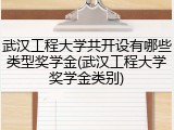 武汉工程大学共开设有哪些类型奖学金(武汉工程大学奖学金类别)