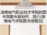 湖南电气职业技术学院的图书馆藏书量如何，简介(湖南电气学院图书馆概况)