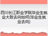 四川长江职业学院毕业生就业大致去向如何(毕业生就业去向)