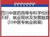 四川中医药高等专科学校好不好，就业现状及发展趋势(川中医专就业前景)