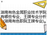 湖南有色金属职业技术学院有哪些专业，王牌专业分析(湖南有色职院王牌专业)