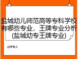 盐城幼儿师范高等专科学校有哪些专业，王牌专业分析(盐城幼专王牌专业)