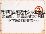菏泽职业学院什么专业就业比较好，原因是啥(菏泽职业学院好就业专业)