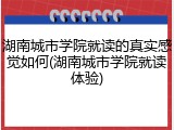 湖南城市学院就读的真实感觉如何(湖南城市学院就读体验)