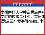贵州医科大学神奇民族医药学院的校徽是什么，有何来历(贵医神奇学院校徽由来)