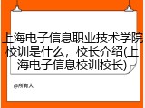 上海电子信息职业技术学院校训是什么，校长介绍(上海电子信息校训校长)