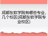 成都东软学院有哪些专业，几个校区(成都东软学院专业校区)