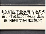 山东铝业职业学院占地多少亩，什么情况下成立(山东铝业职业学院创建情况)