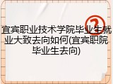 宜宾职业技术学院毕业生就业大致去向如何(宜宾职院毕业生去向)