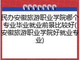 民办安徽旅游职业学院哪个专业毕业就业前景比较好(安徽旅游职业学院好就业专业)