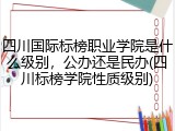 四川国际标榜职业学院是什么级别，公办还是民办(四川标榜学院性质级别)