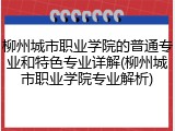 柳州城市职业学院的普通专业和特色专业详解(柳州城市职业学院专业解析)