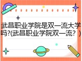 武昌职业学院是双一流大学吗?(武昌职业学院双一流？)