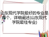 山东现代学院最好的专业是哪个，详细阐述(山东现代学院最佳专业)