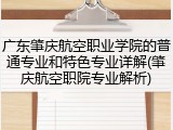 广东肇庆航空职业学院的普通专业和特色专业详解(肇庆航空职院专业解析)