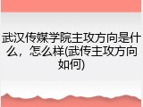 武汉传媒学院主攻方向是什么，怎么样(武传主攻方向如何)