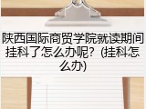 陕西国际商贸学院就读期间挂科了怎么办呢？(挂科怎么办)