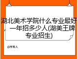 湖北美术学院什么专业最好，一年招多少人(湖美王牌专业招生)