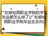 广东碧桂园职业学院的学生毕业都怎么样了(广东碧桂园职业学院毕业生去向)