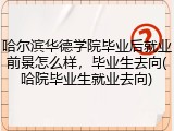 哈尔滨华德学院毕业后就业前景怎么样，毕业生去向(哈院毕业生就业去向)