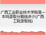 广西工业职业技术学院是一本吗录取分数线多少(广西工院录取线)