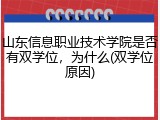 山东信息职业技术学院是否有双学位，为什么(双学位原因)