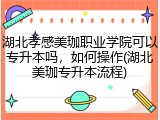 湖北孝感美珈职业学院可以专升本吗，如何操作(湖北美珈专升本流程)