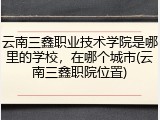 云南三鑫职业技术学院是哪里的学校，在哪个城市(云南三鑫职院位置)