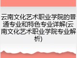 云南文化艺术职业学院的普通专业和特色专业详解(云南文化艺术职业学院专业解析)