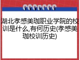 湖北孝感美珈职业学院的校训是什么,有何历史(孝感美珈校训历史)