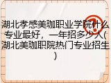 湖北孝感美珈职业学院什么专业最好，一年招多少人(湖北美珈职院热门专业招生)