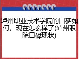 泸州职业技术学院的口碑如何，现在怎么样了(泸州职院口碑现状)