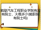 鹤壁汽车工程职业学院有没有院士，大概多少(鹤职院有院士吗)