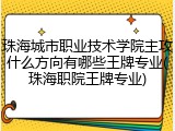 珠海城市职业技术学院主攻什么方向有哪些王牌专业(珠海职院王牌专业)