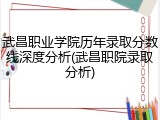 武昌职业学院历年录取分数线深度分析(武昌职院录取分析)