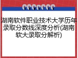 湖南软件职业技术大学历年录取分数线深度分析(湖南软大录取分解析)