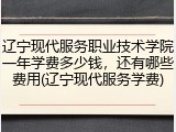 辽宁现代服务职业技术学院一年学费多少钱，还有哪些费用(辽宁现代服务学费)