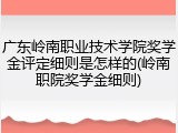 广东岭南职业技术学院奖学金评定细则是怎样的(岭南职院奖学金细则)