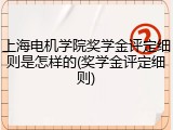 上海电机学院奖学金评定细则是怎样的(奖学金评定细则)