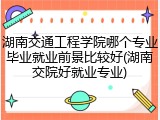 湖南交通工程学院哪个专业毕业就业前景比较好(湖南交院好就业专业)